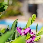 De La Paz Коста Бланка